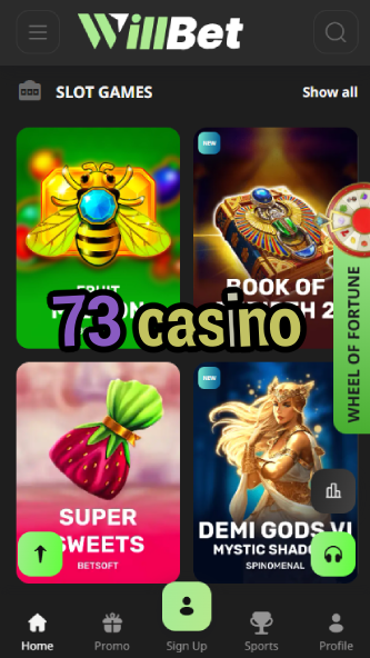 73 Casino - Best Online Casino in 2024-casinocasi.ydblkf.net